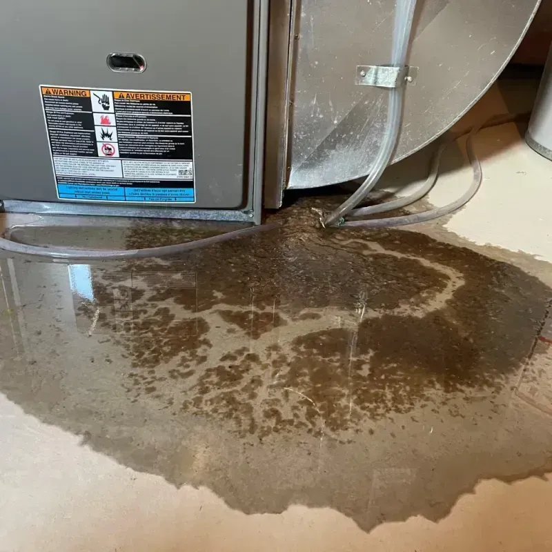 Appliance Leak Cleanup in Pierce County, GA